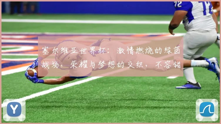 塞尔维亚世界杯：激情燃烧的绿茵战场，荣耀与梦想的交织，不容错过