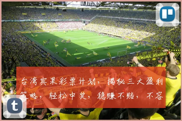台湾宾果彩票计划，揭秘三大盈利策略，轻松中奖，稳赚不赔，不容错过